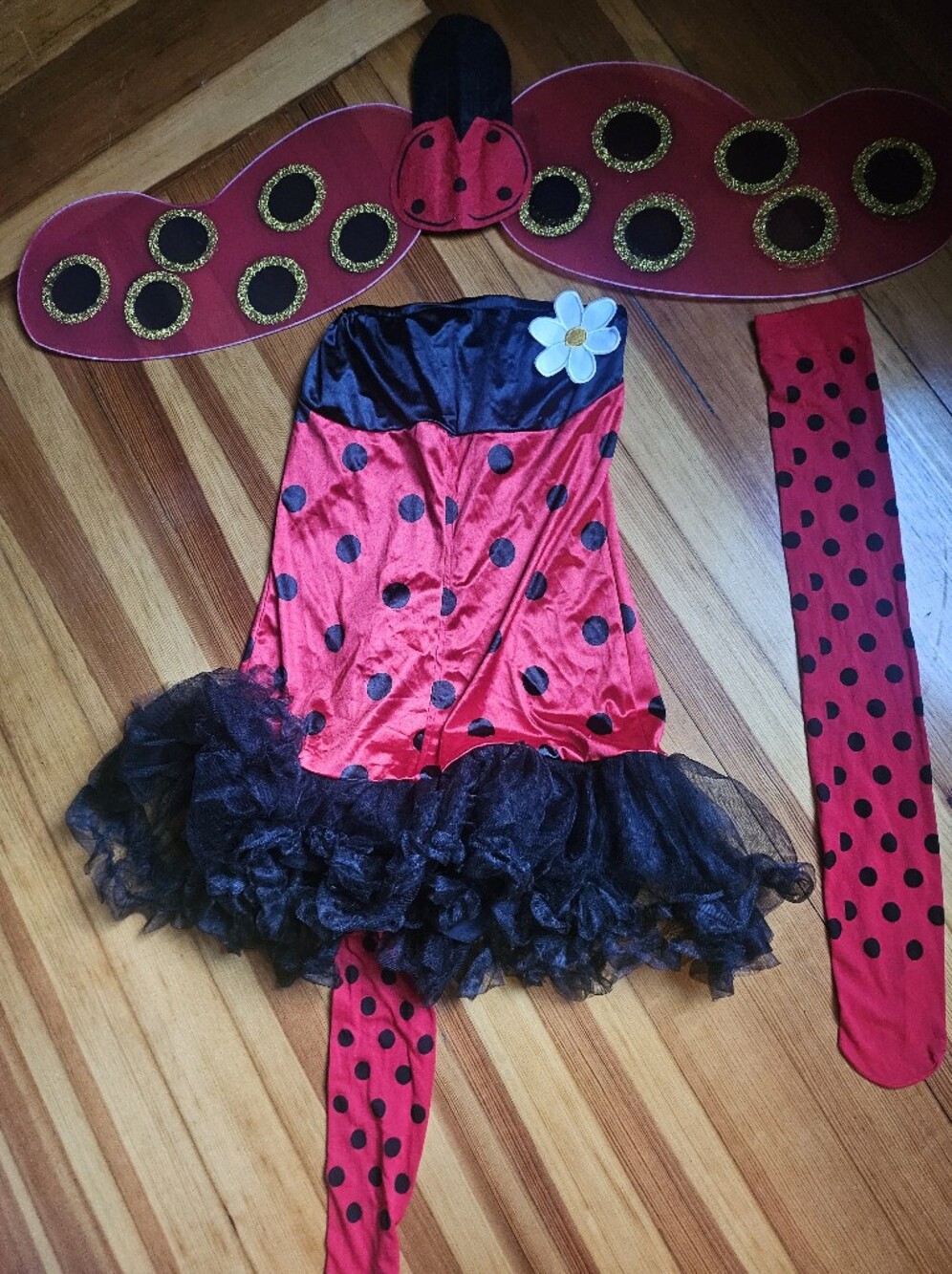 Halloween Girls Red Ladybug Costume Dress with Wings and Socks. Med/Large 10-14